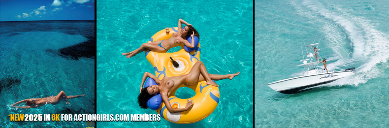 OVER 2 MILLION IMAGES AND 2000 VIDEOS FOR MEMBERS